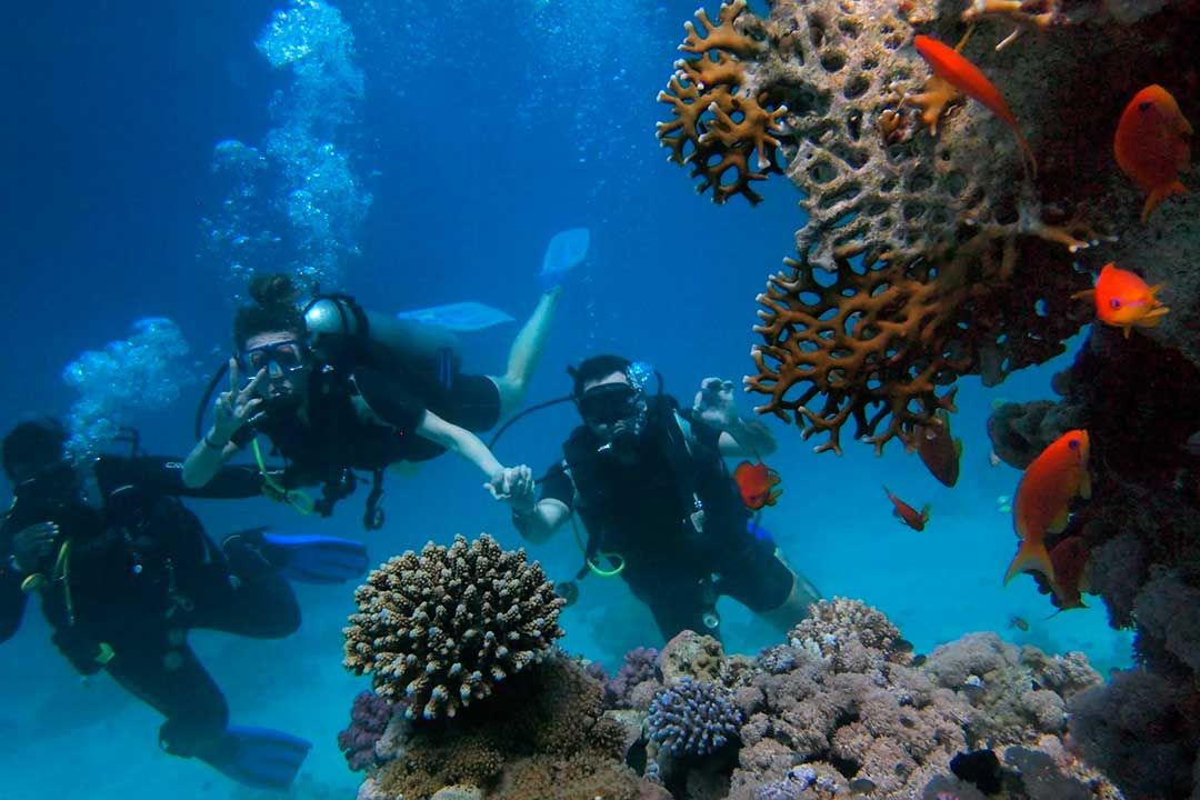 buceo en san andres
