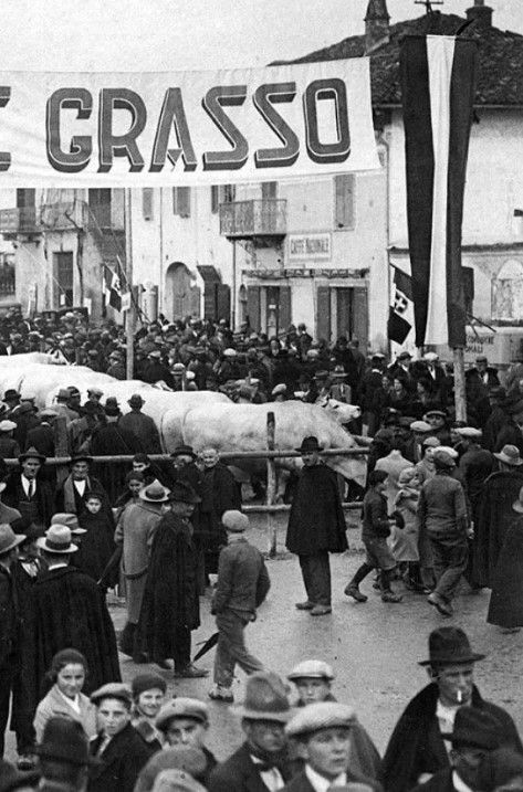 fiera del bue grasso carrù