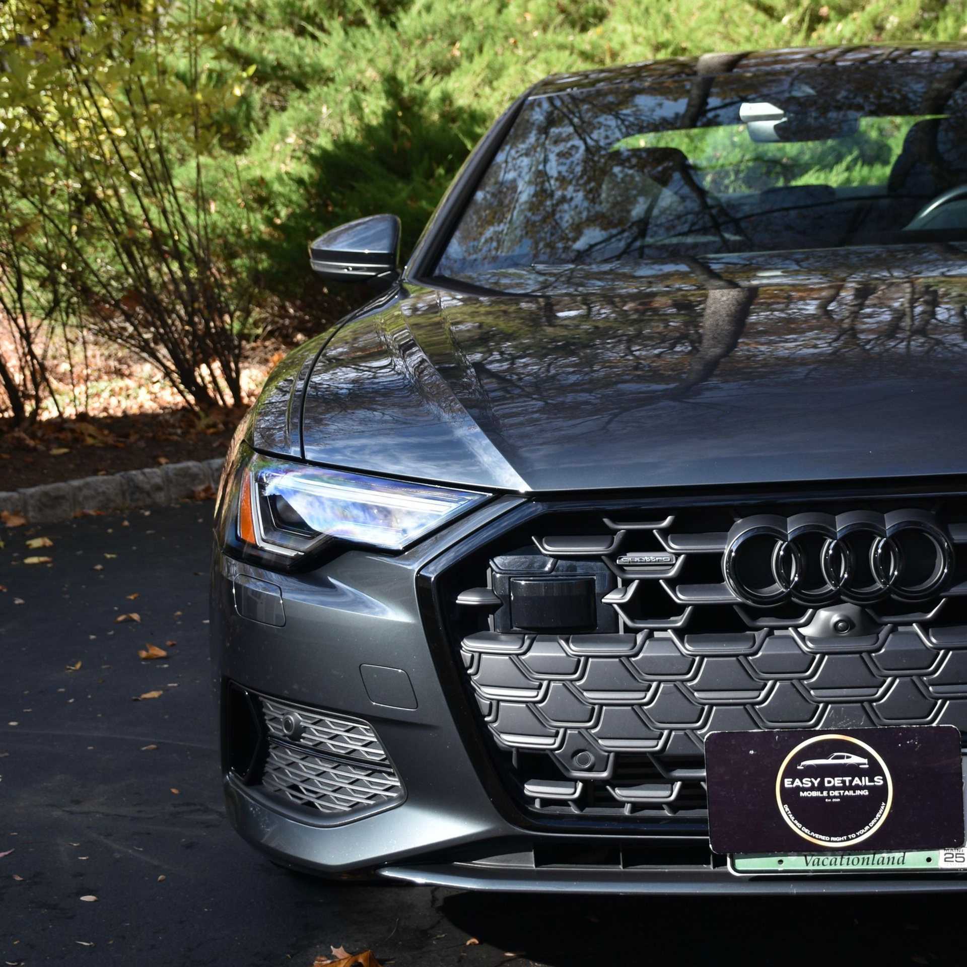 Dark gray Audi sedan parked in front of trees.