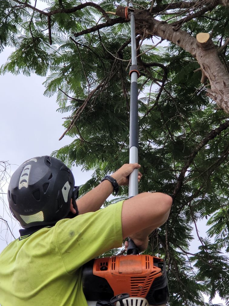 Worker in helmet operating a pole saw on a tree branch outdoors