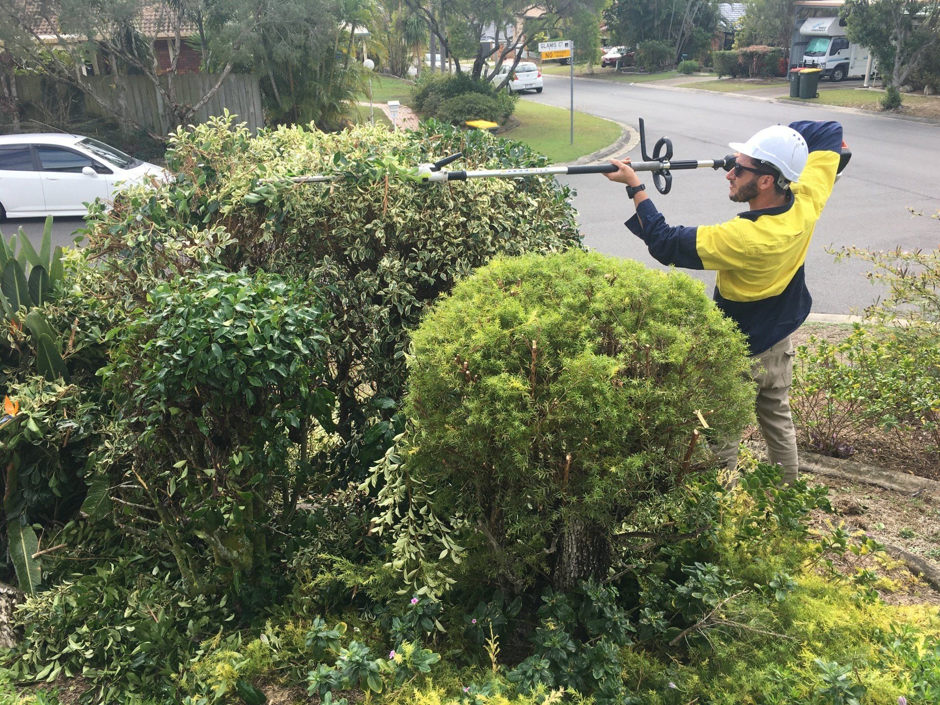 affordable hedge trimming south east melbourne