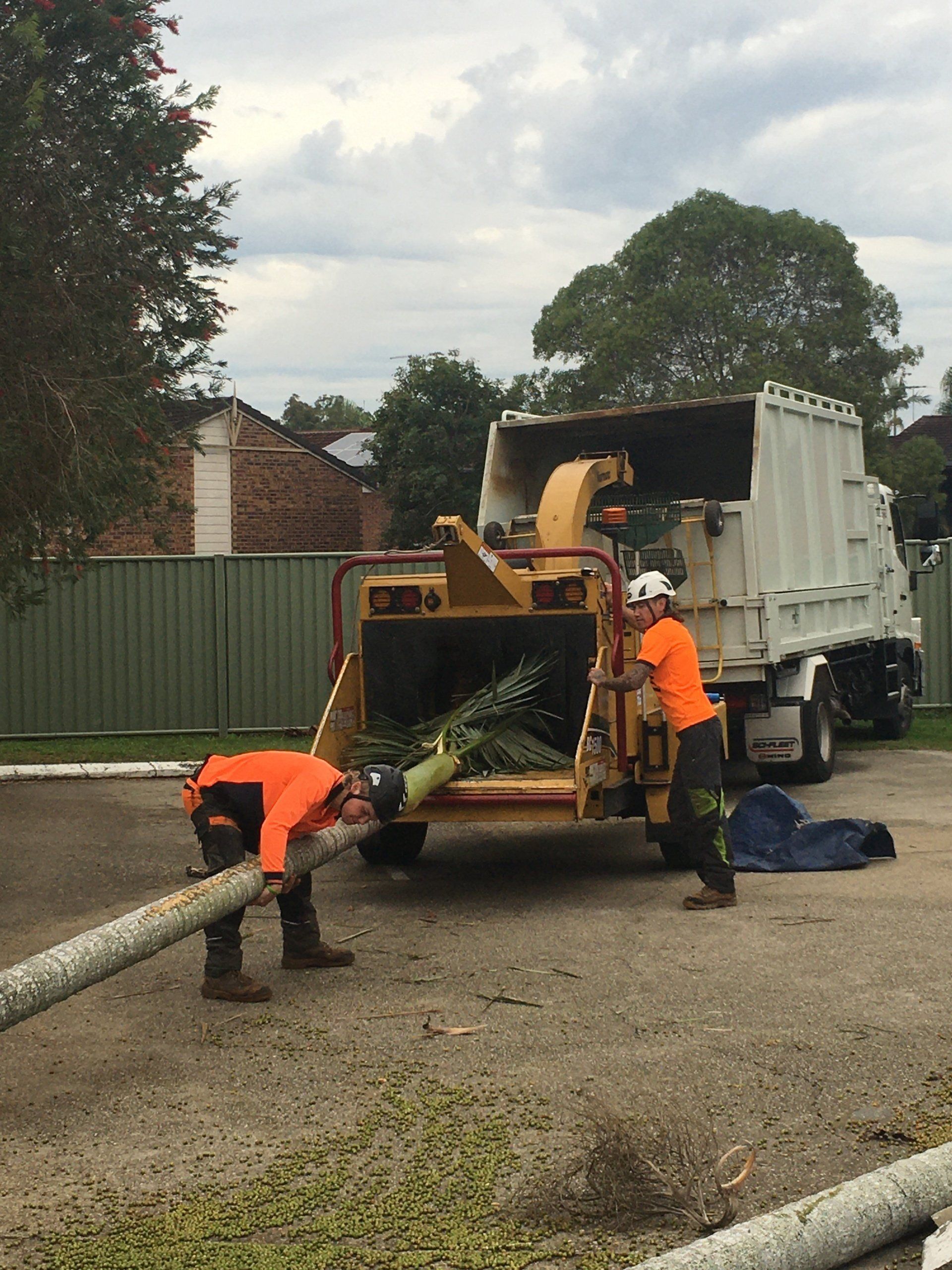 Workers loading branches into a wood chipper beside a white truck on a gravel lot.