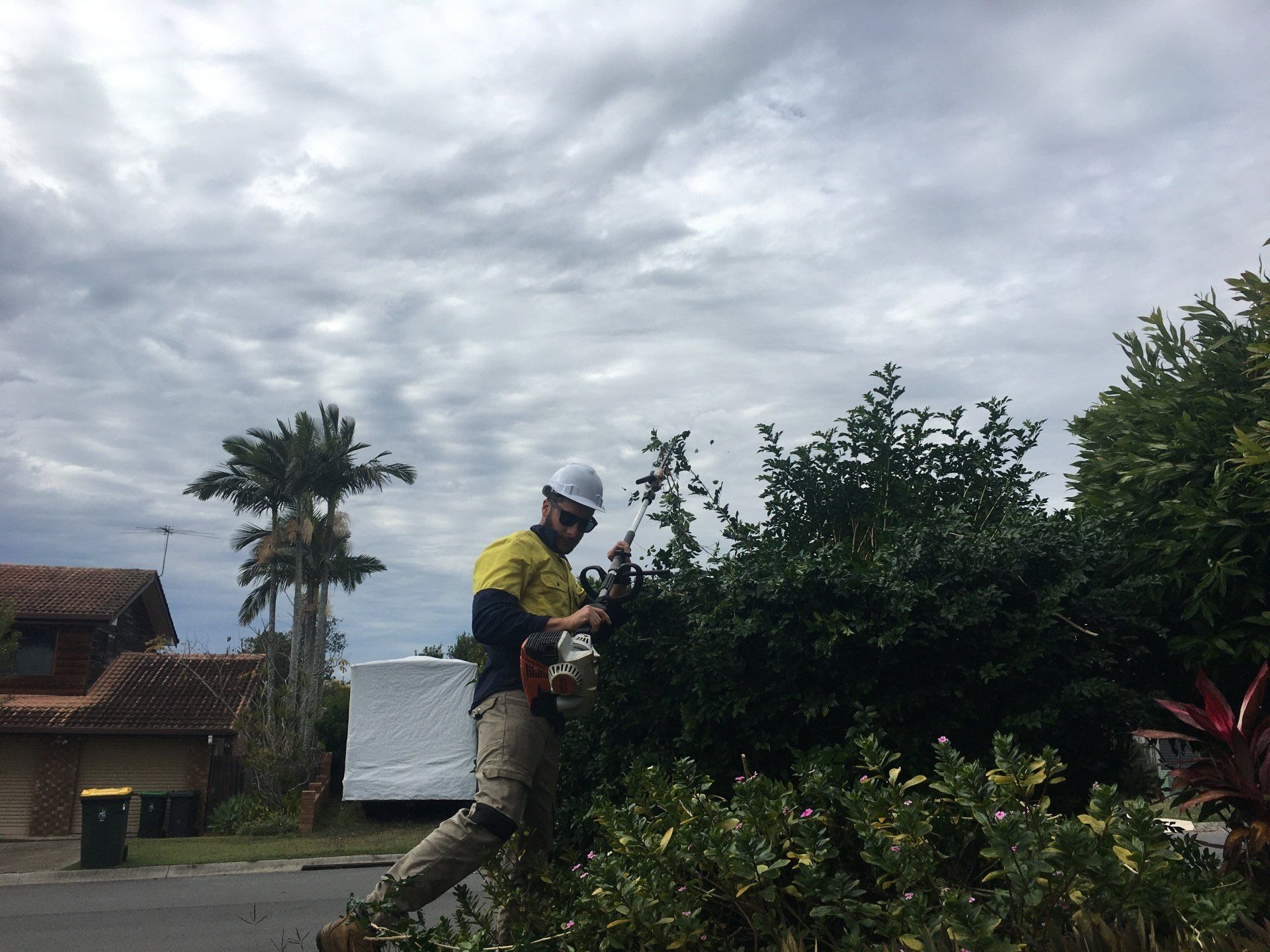 Person pruning a bush in a garden under a cloudy sky.