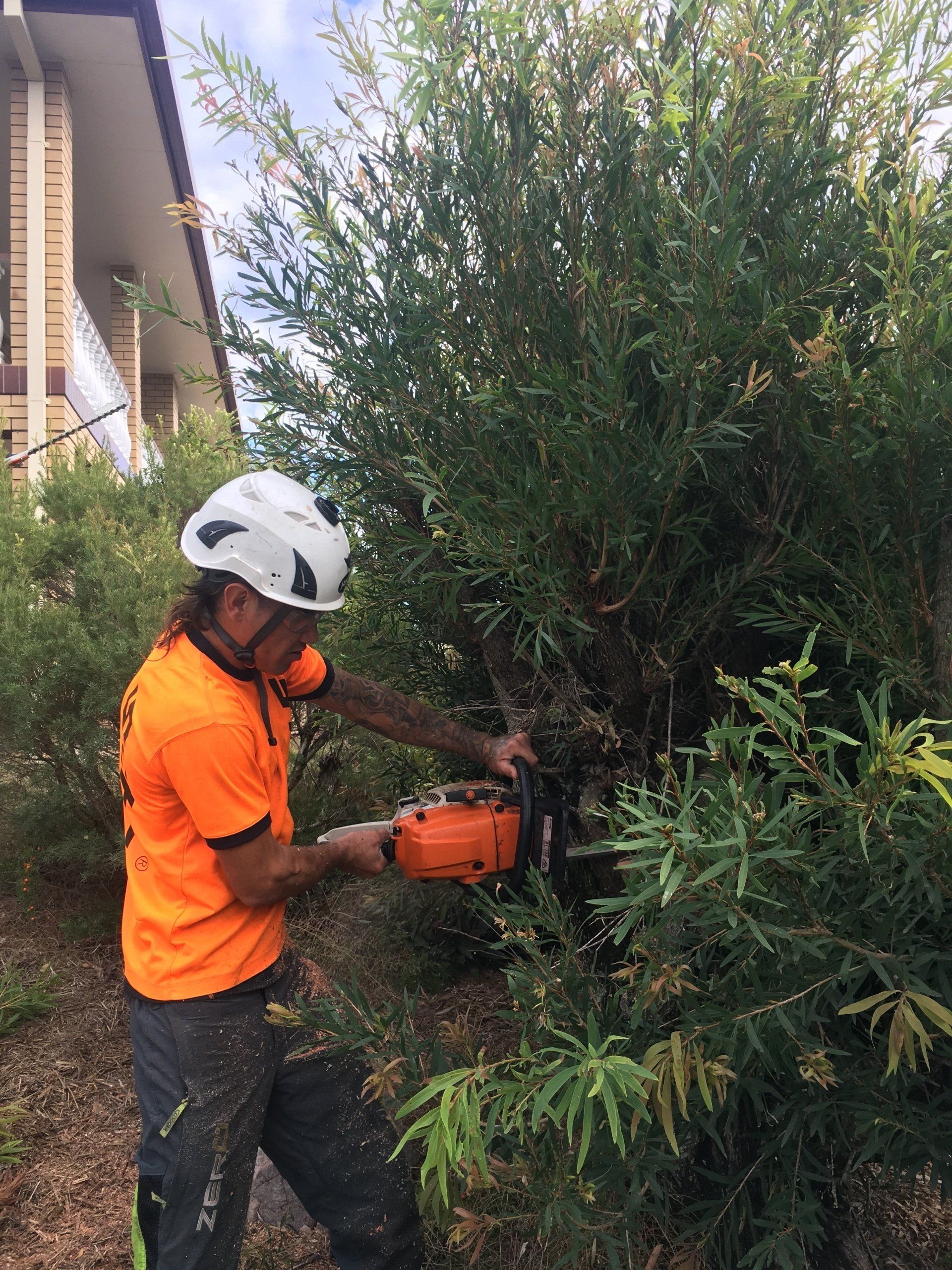 Worker in an orange shirt trimming a dense green bush with a chainsaw beside a house.