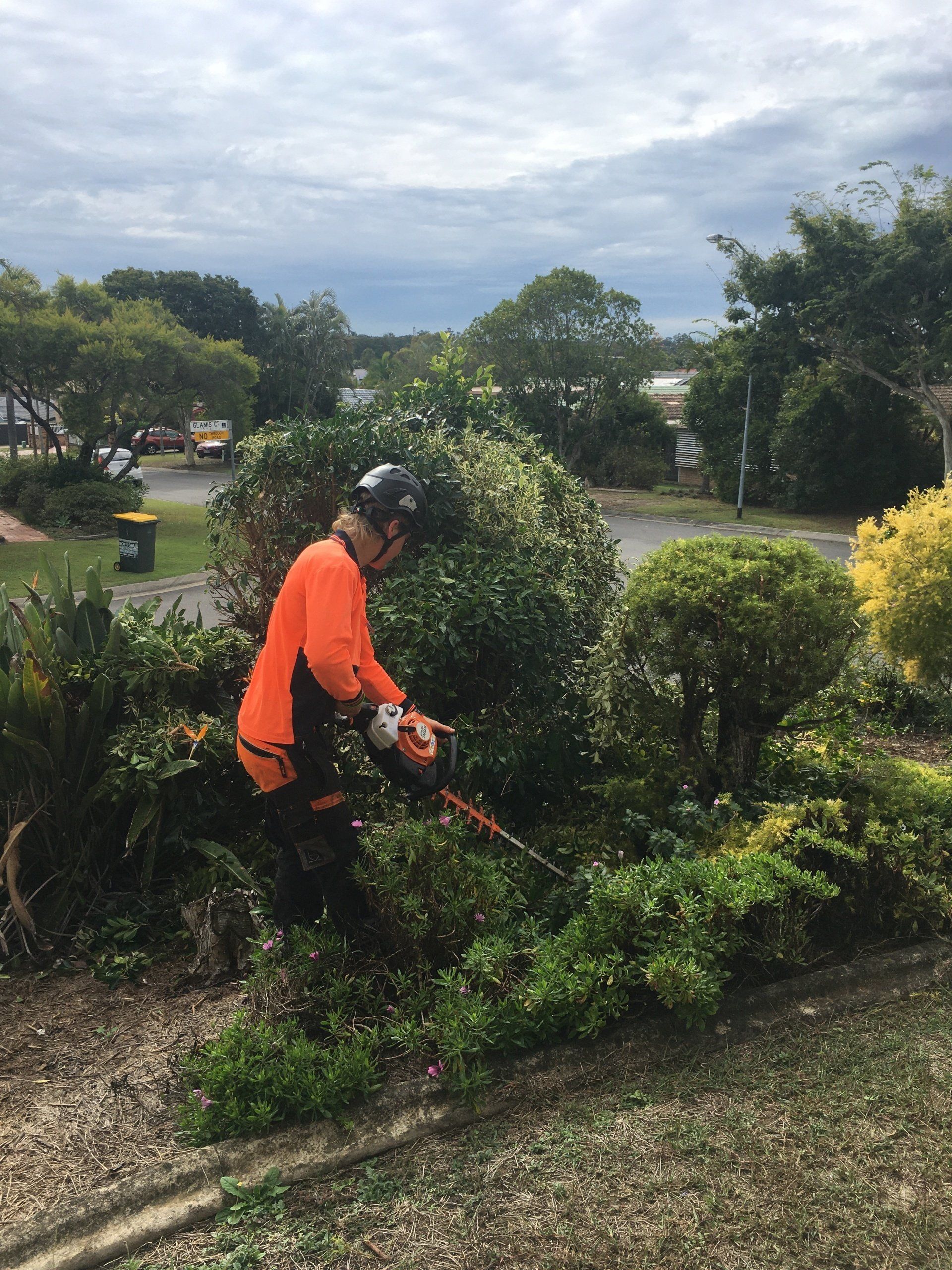 hedge trimming southeast melbourne