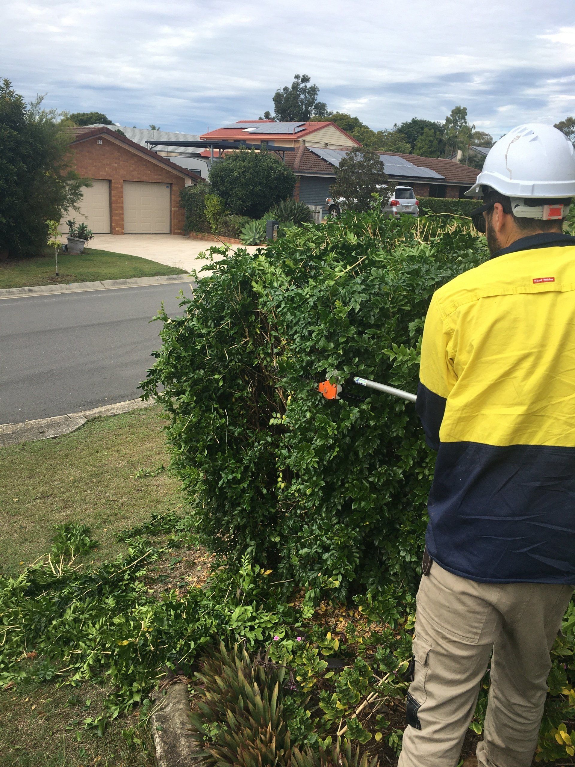 hedge trimming melbourne
