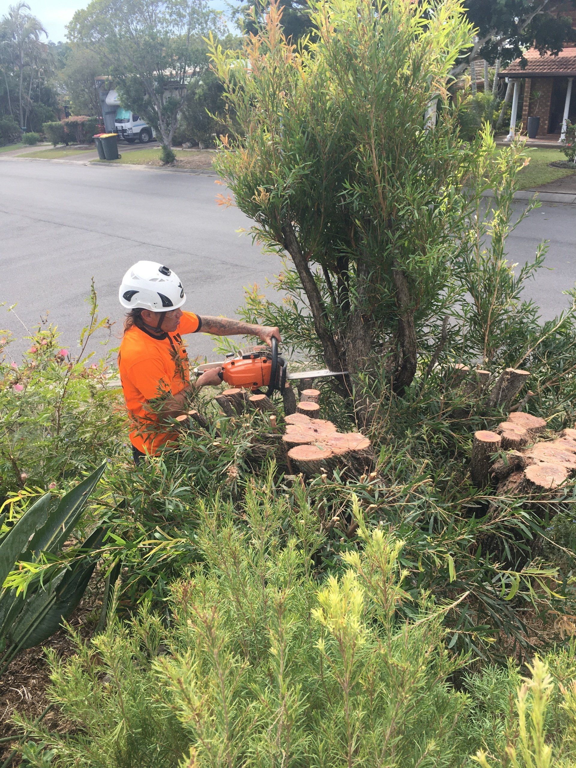 Worker in orange safety gear trimming a bush with a chainsaw in a residential yard.