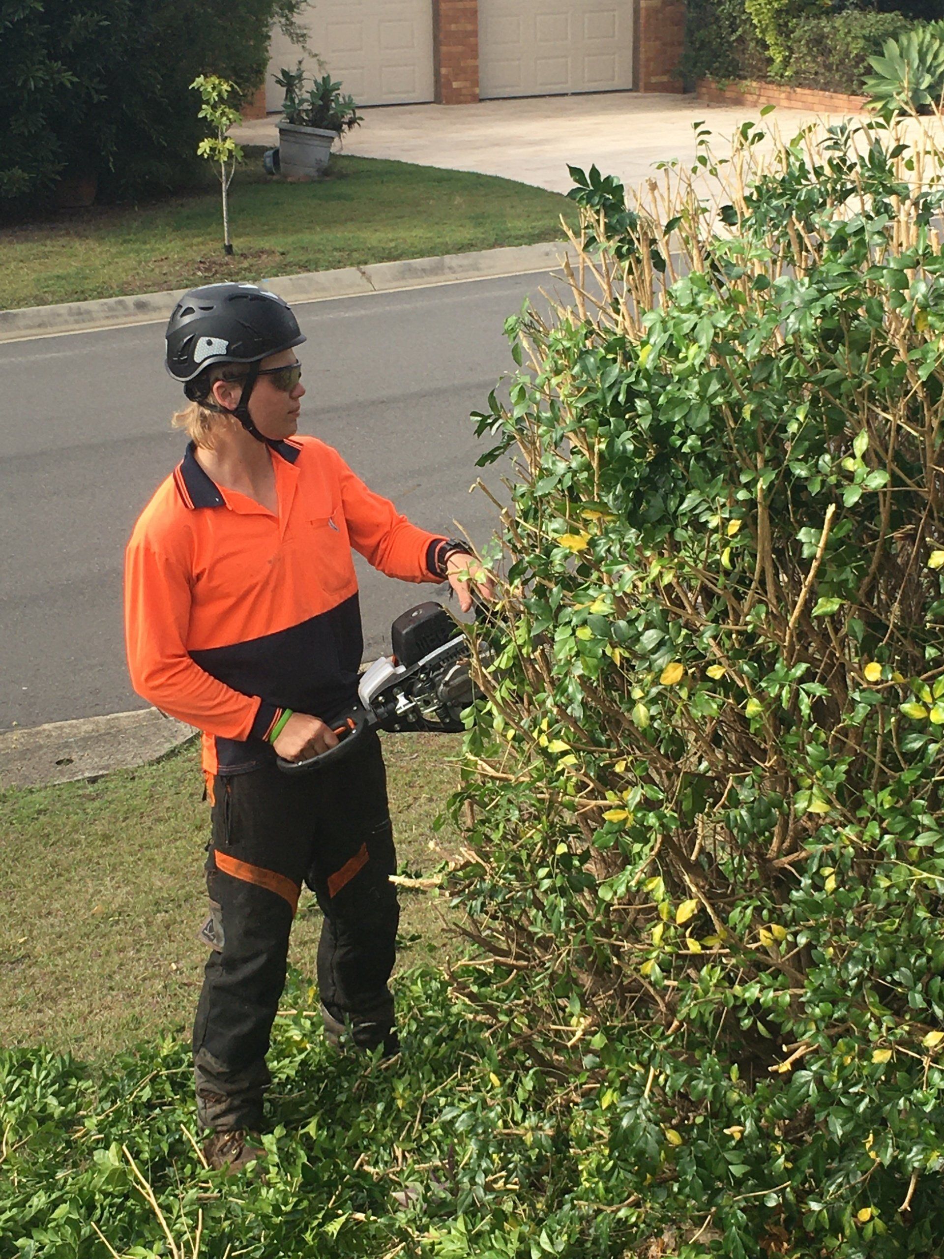 Worker in orange safety gear trimming a bush beside a street.