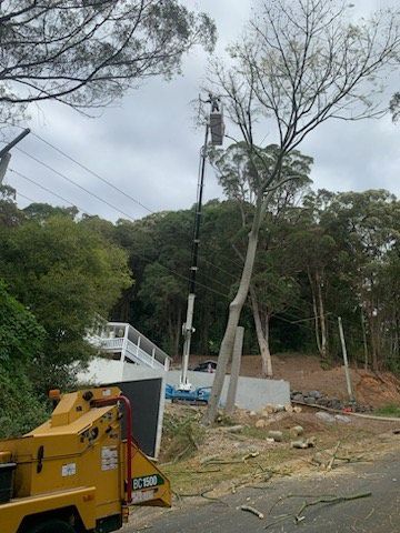 Utility pole and roadside construction area near trees, with a yellow machine in the foreground.