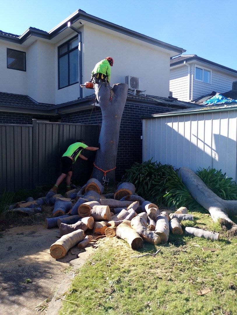 Two workers trimming a tall tree stump beside a house and fence, with cut logs piled below.
