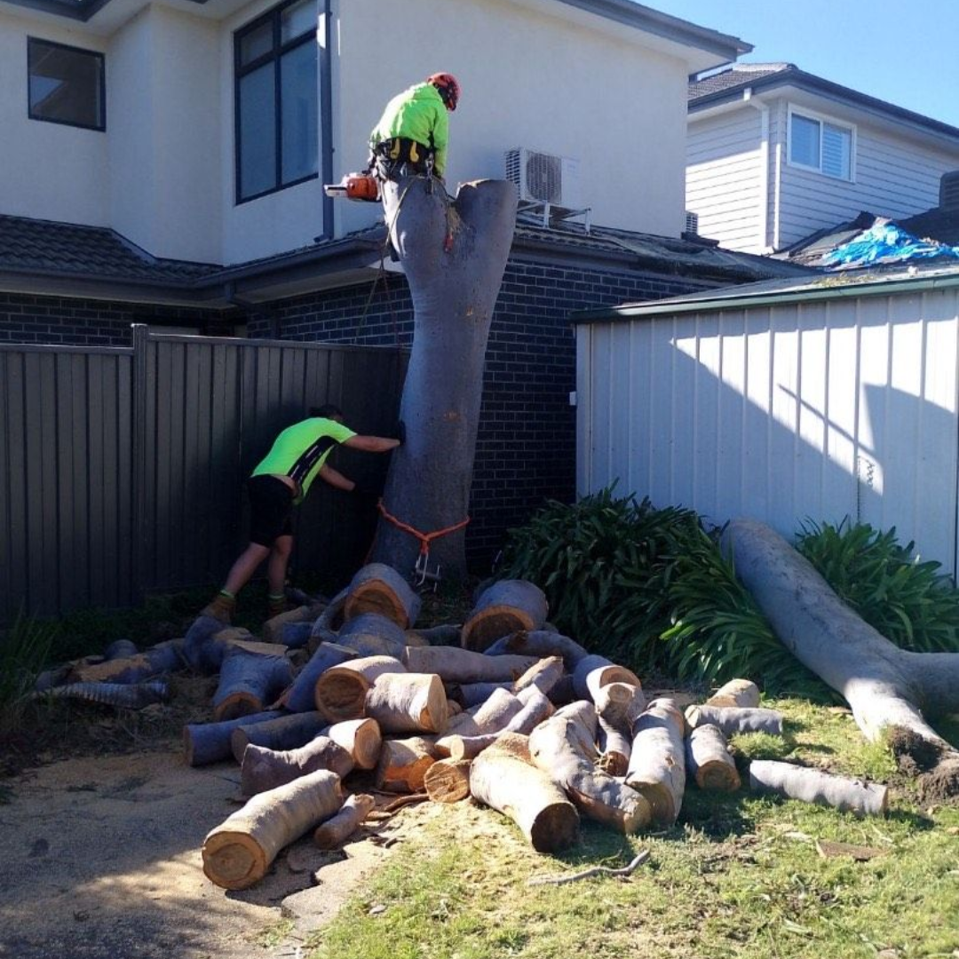 Stump Grinding Berwick