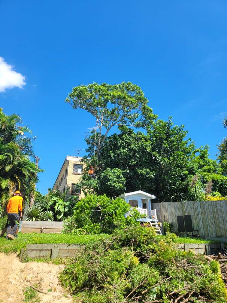 Bright blue sky over a garden path, with a person in orange near trees and houses on a sunny hillside.