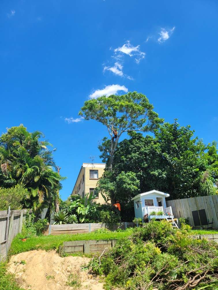 Steep grassy yard with stairs, lush trees, a beige house, and a small white gazebo under a bright blue sky