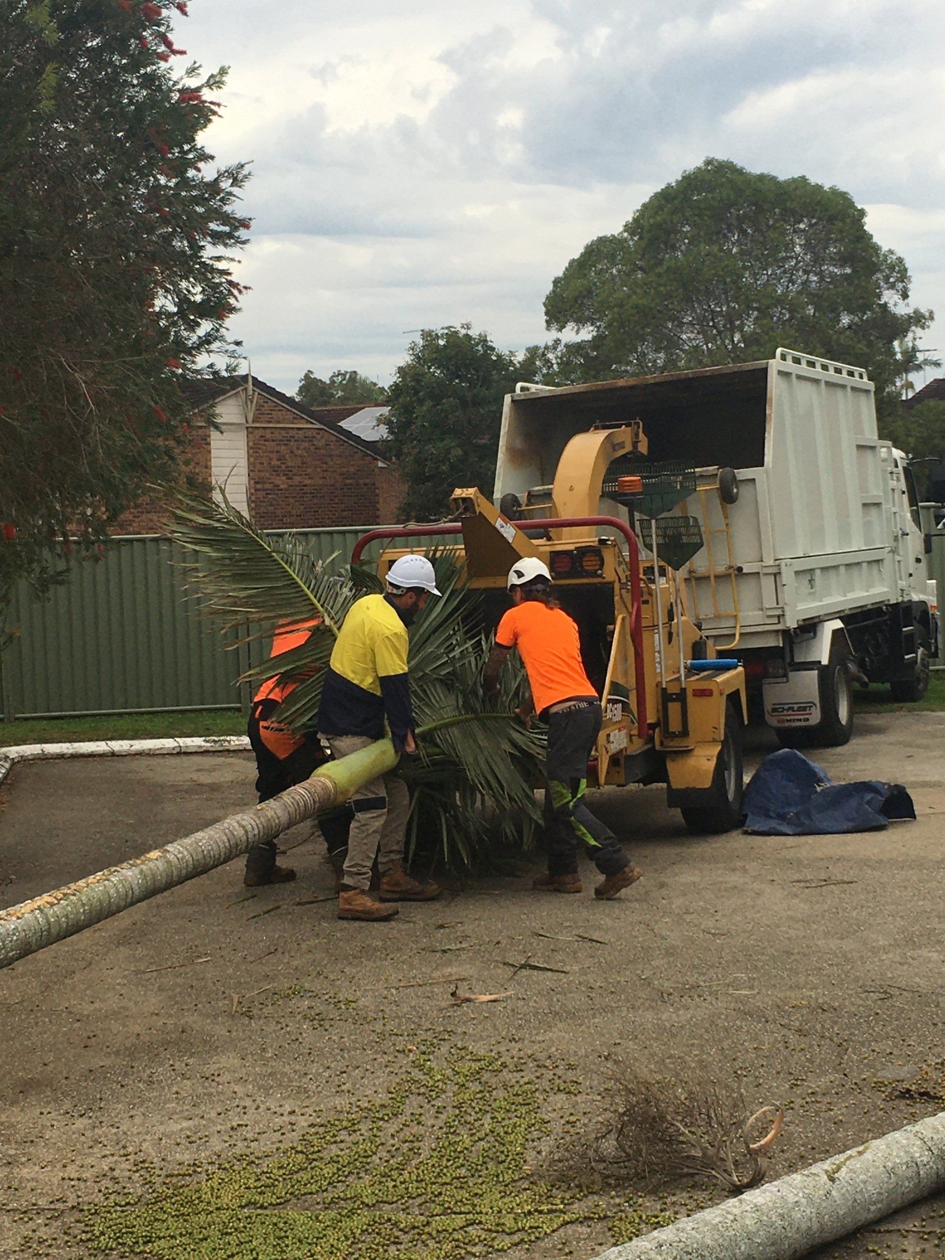 Workers in high-visibility clothing loading tree branches into a truck on a street