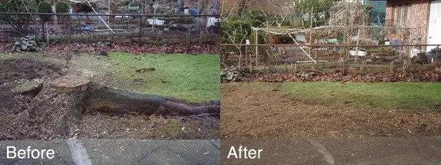 Before-and-after yard scene showing a dug-out area filled in and leveled with soil and grass.