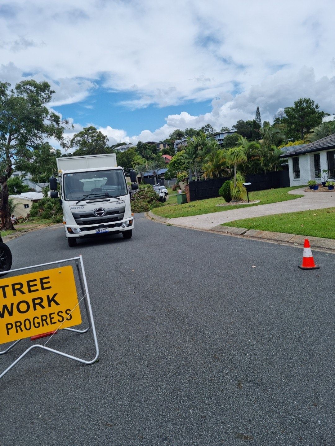 Street work site with a white truck, orange cone, and “TREE WORK IN PROGRESS” sign on a residential road.