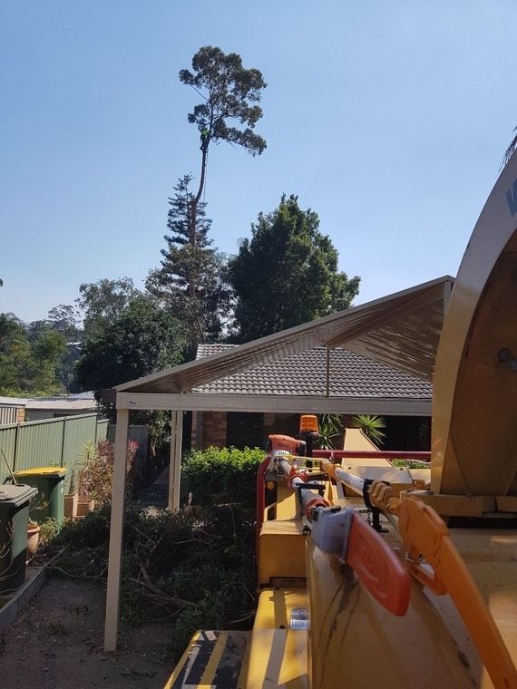 Yellow machinery beside a covered shed and garden, with tall trees in the background