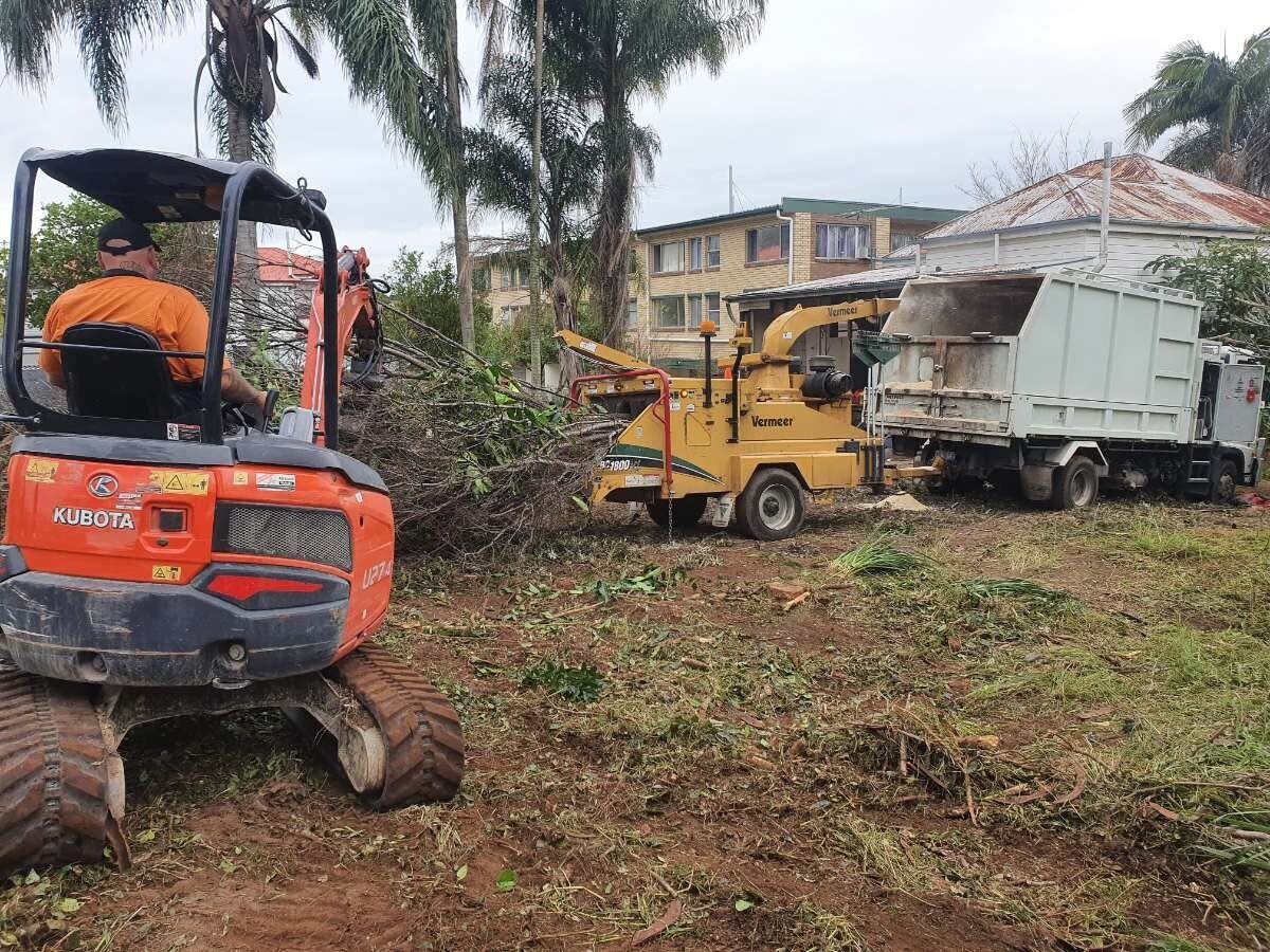 Orange excavator beside yellow loader and white truck in muddy clearing with palm trees