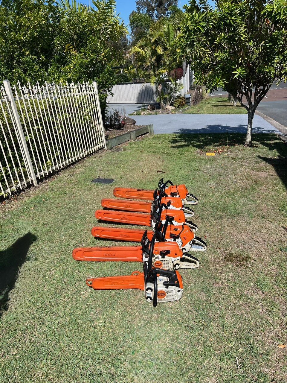 Five orange chainsaws lined up on grass beside a fence and tree in a sunny yard