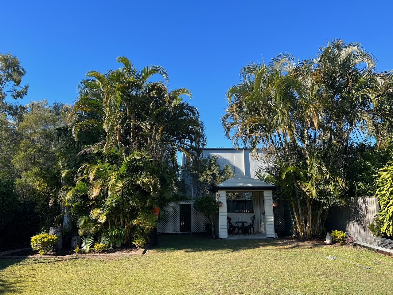 Small white house surrounded by tall palm trees and a grassy yard under a clear blue sky