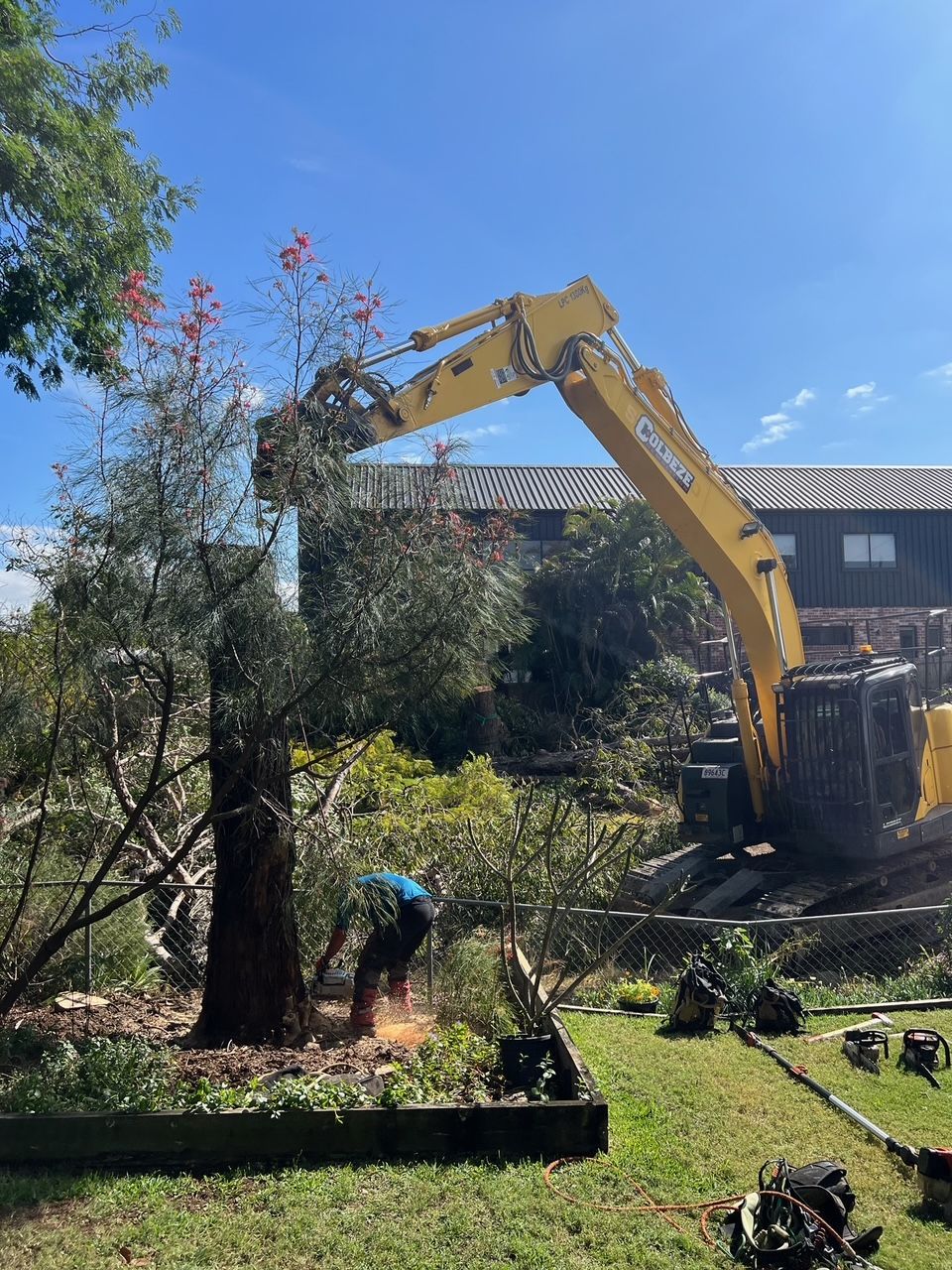 Excavator removing a tree in a sunny backyard while a worker tends the base