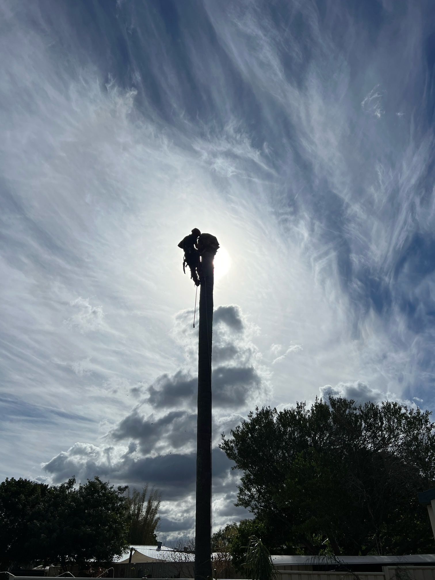 Worker on a tall pole silhouetted against a bright, cloudy sky above trees