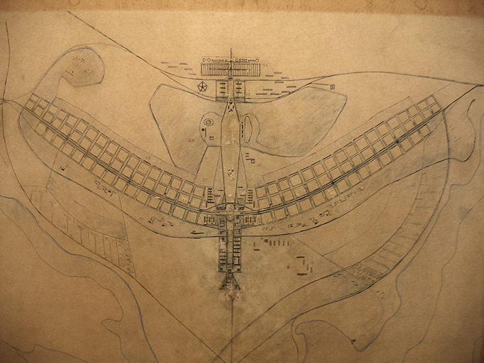 A drawing of a dragonfly on a piece of paper