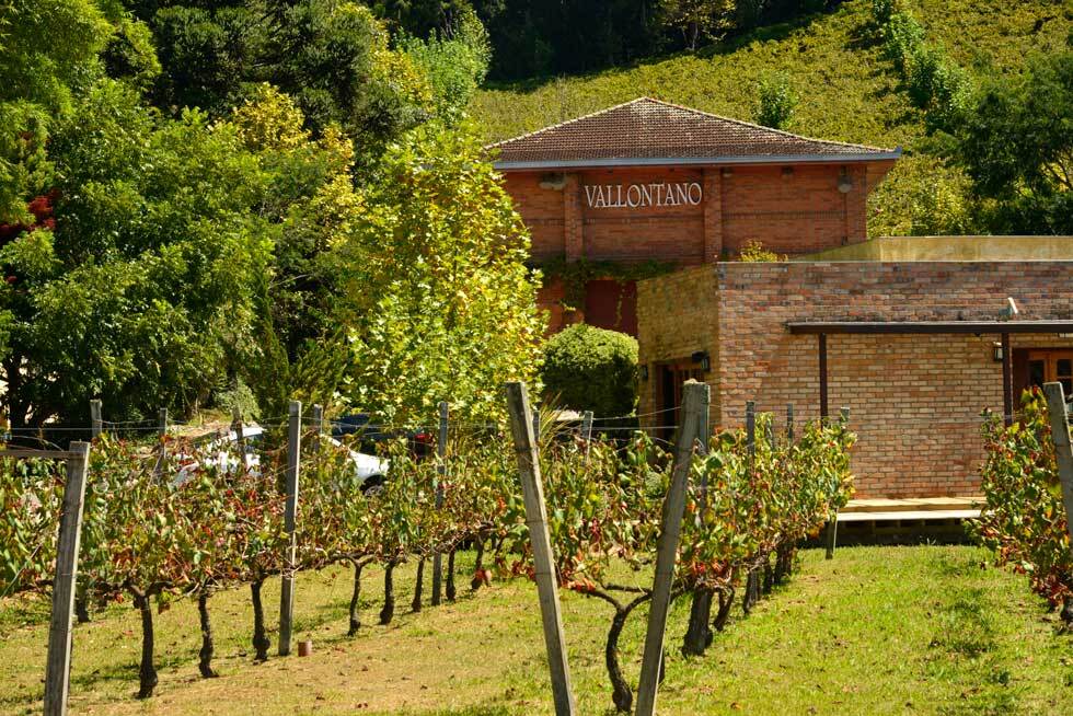 A vineyard with a brick building in the background