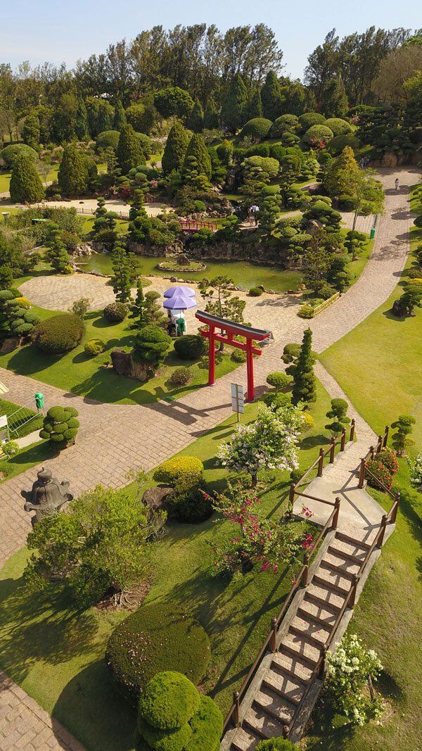 An aerial view of a park filled with lots of trees and bushes.
