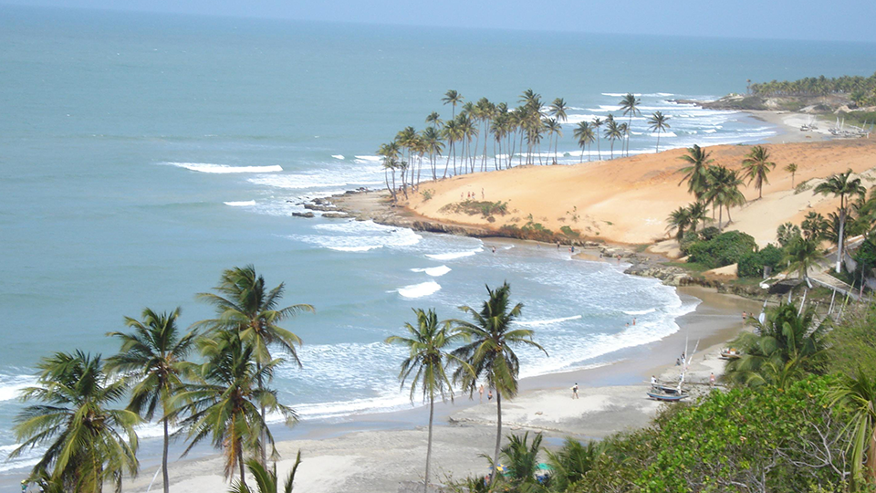 Una playa con palmeras y mar azul An aerial view of a beach with palm trees and waves