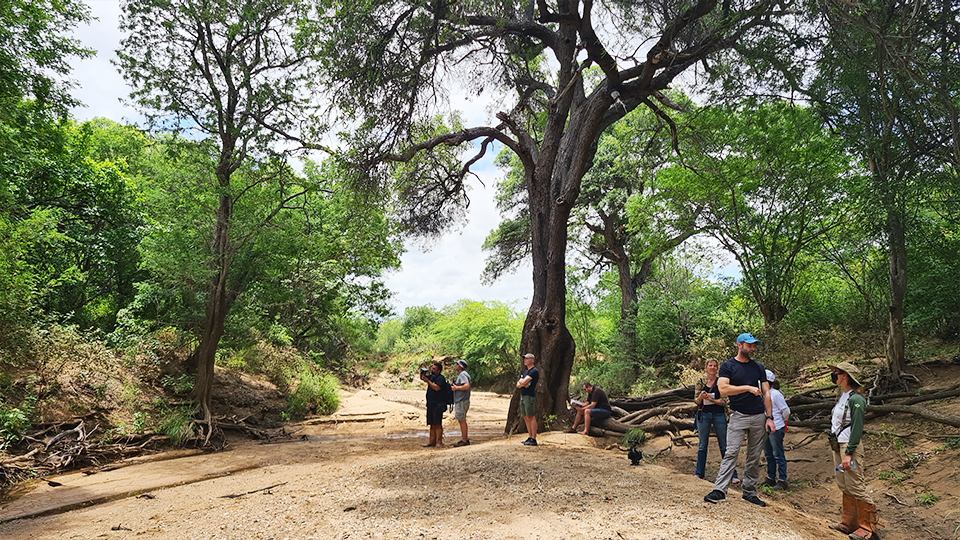 A group of people are standing on a dirt road in the woods.
