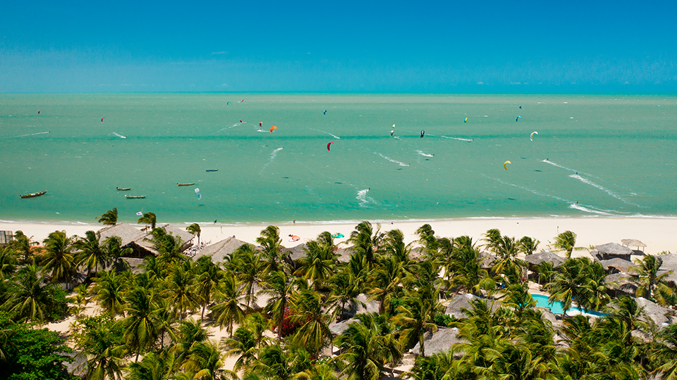 An aerial view of a beach surrounded by palm trees and a body of water.