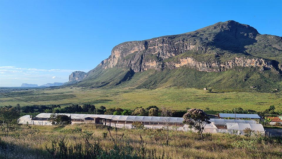 A panoramic view on a coffee farm in rural Brazil There is a large mountain in the background and a large building in the foreground.