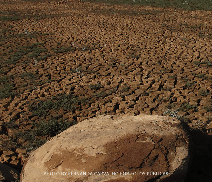 un rocher sur une terre aride