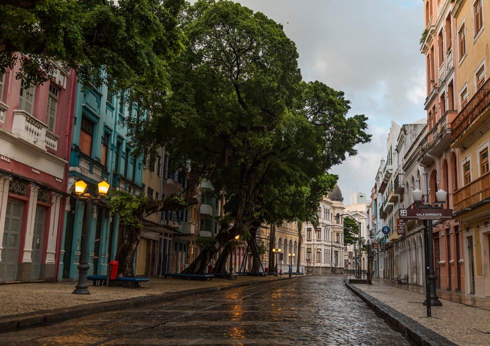 Une rue pavée en pierre avec de vieux bâtiments et arbres