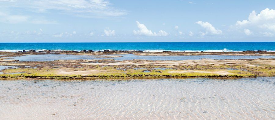 Une plage avec l’océan et le récif corallien visible.