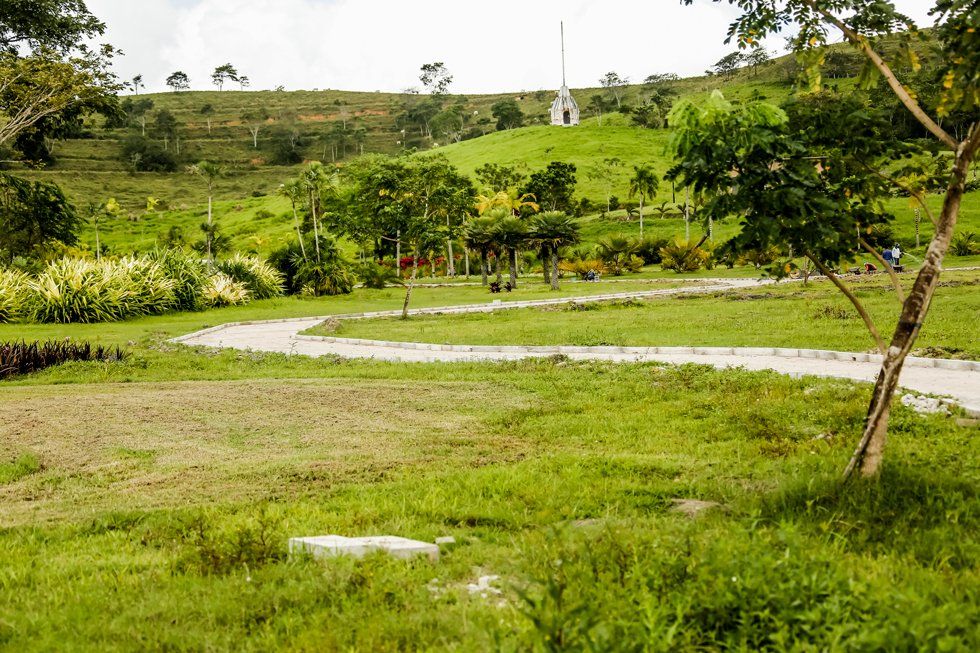Une vue d'une prairie verte avec une forêt dense derrière