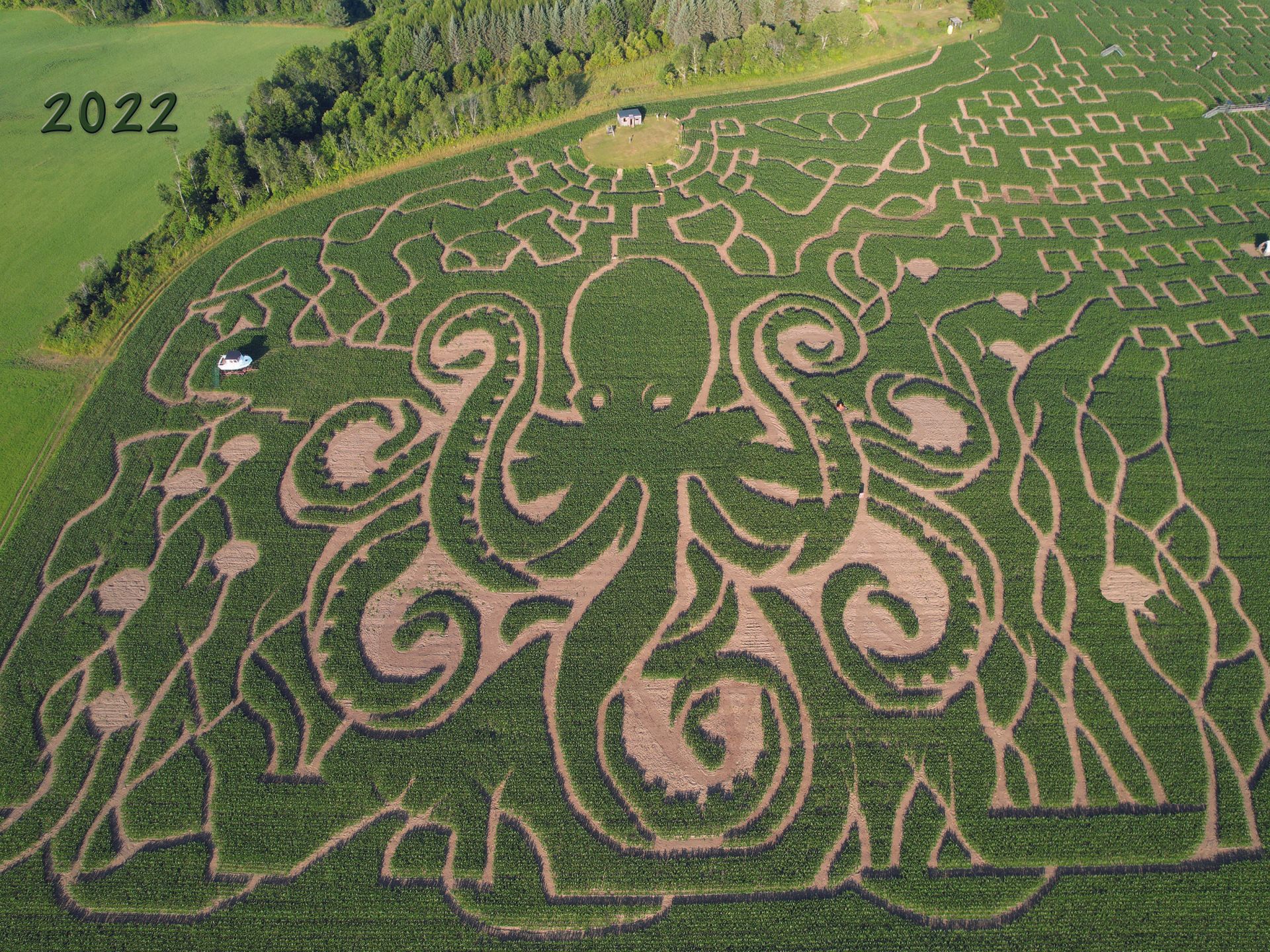 One of the top things to do in Vermont, a 2-3 hour hike through the Great Vermont Corn Maze