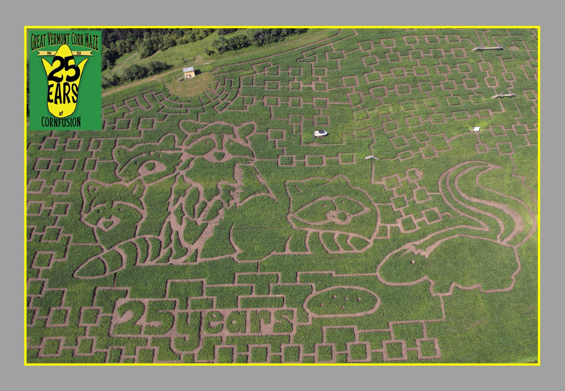 Postcard of the 2023 Maze design at the Great Vermont Corn Maze