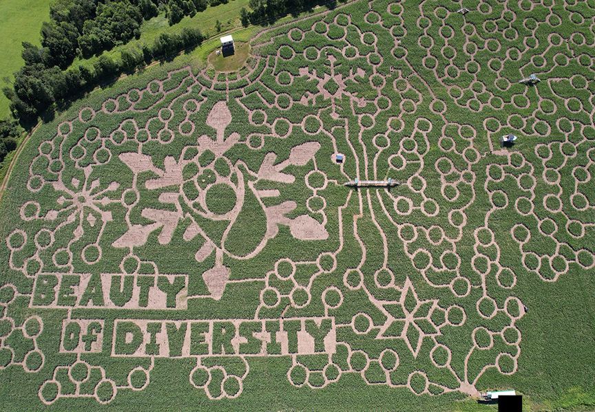 2026 Beauty of Diversity Maze design with a nod to Vermont Farmer, Snowflake Bentley.