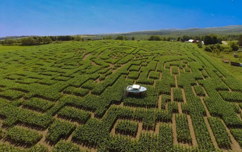 A boat floating above the corn at the Great Vermont Corn Maze