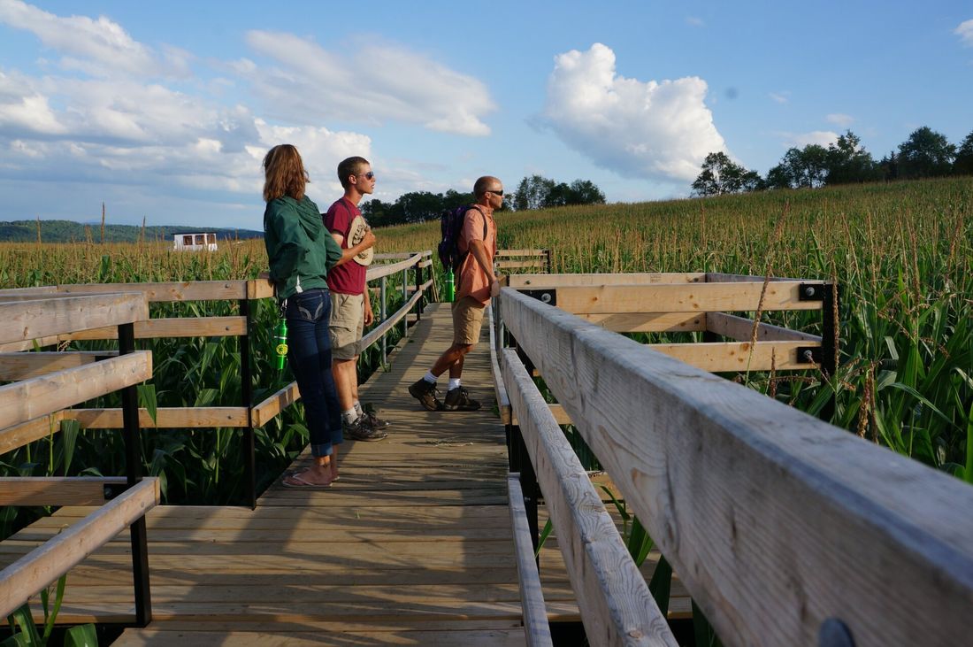A top one of the bridges in the Great Vermont Corn Maze in North Danville,VT