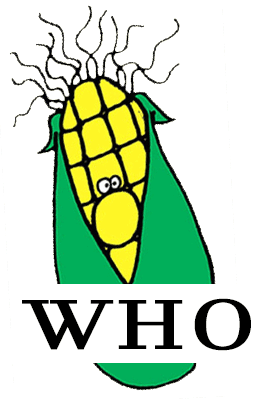 Who will enjoy activities in Northern Vermont