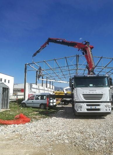 Camion con gru