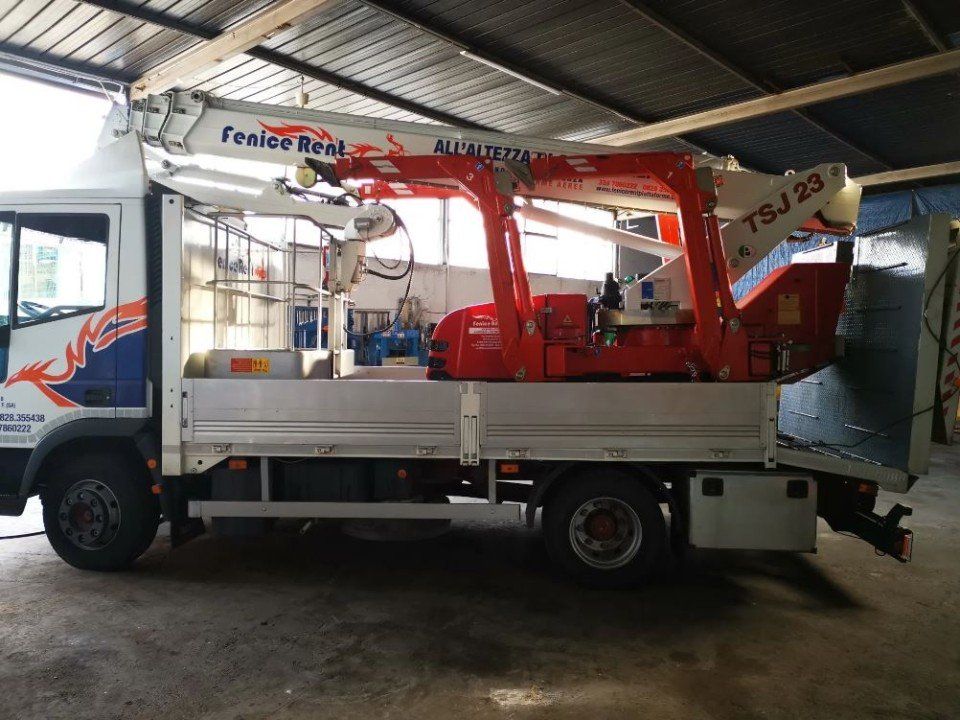 Camion con gru