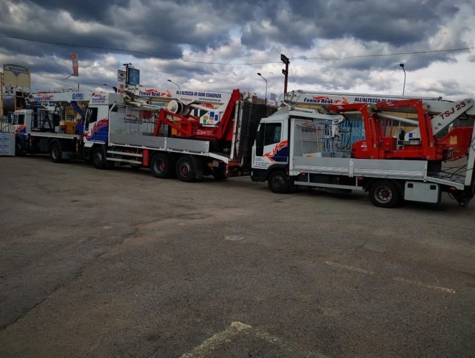 Camion con gru