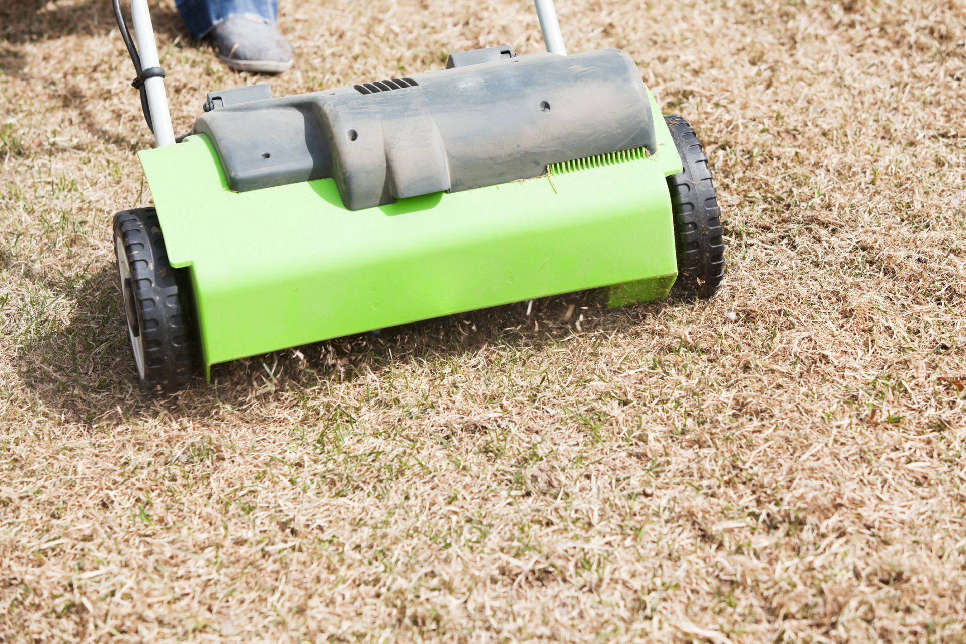 Spring Yard Dethatching