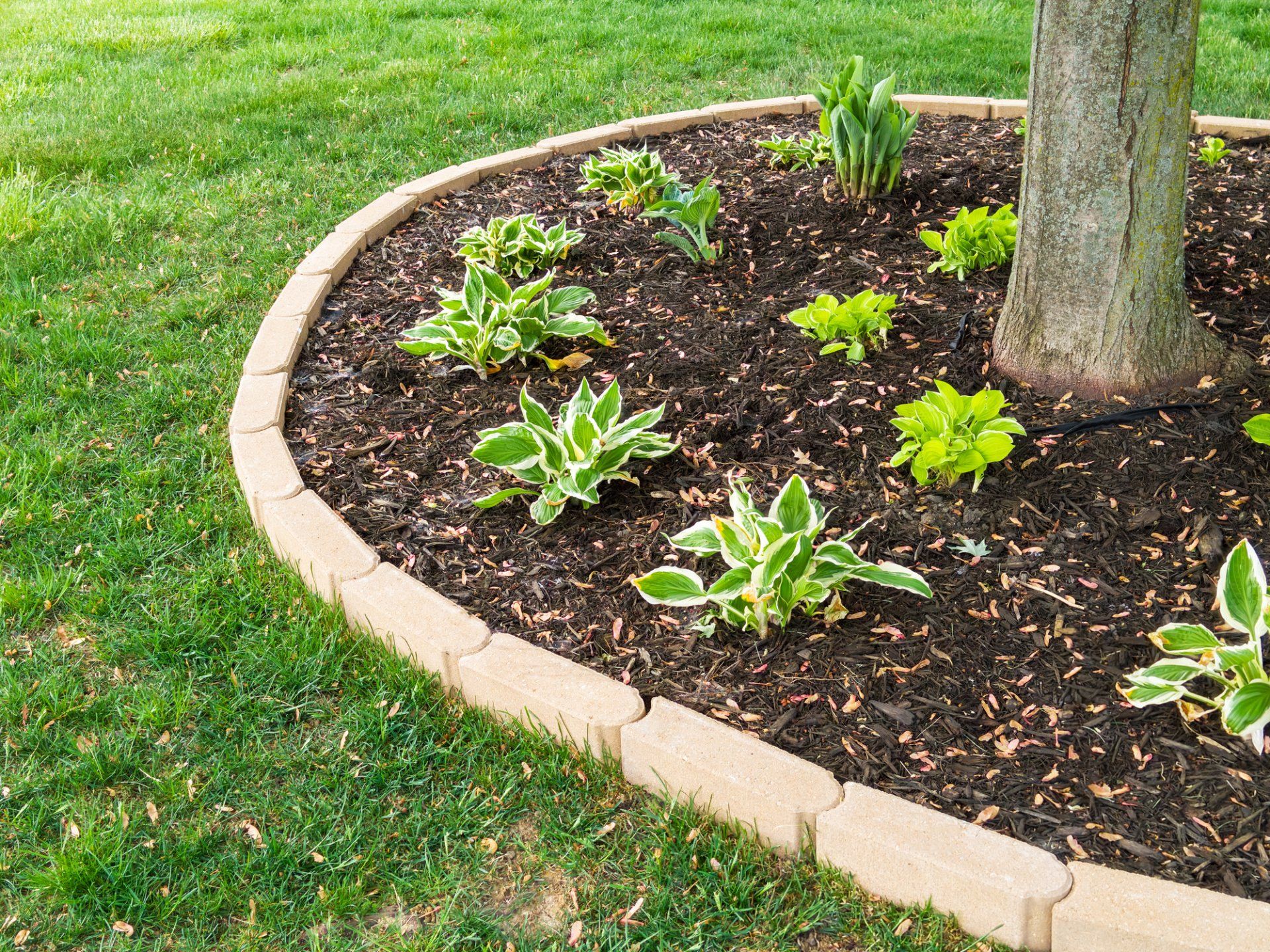Mulch Pittsburgh