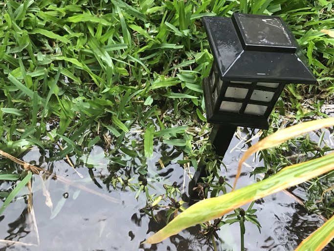 Standing water in yard 