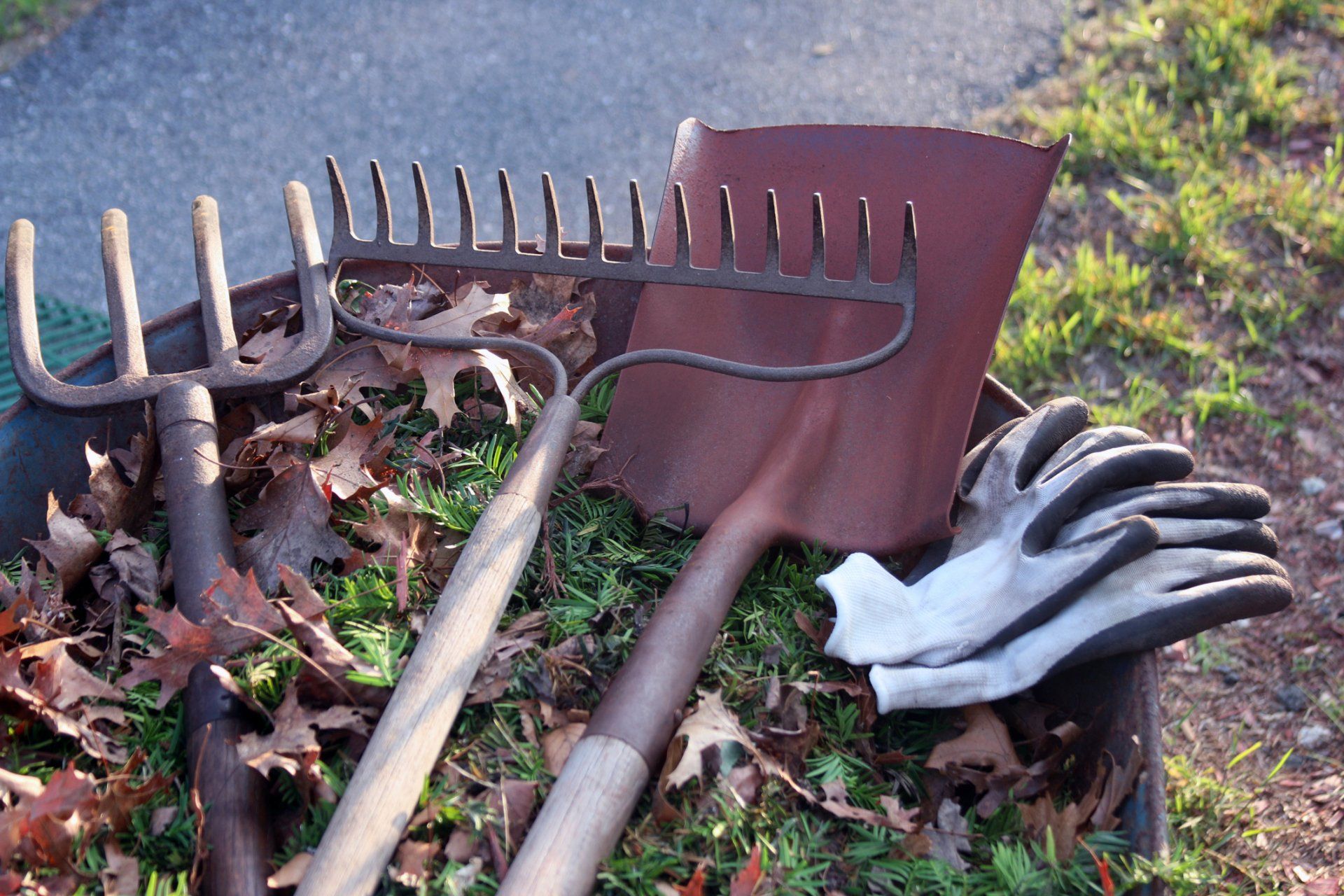 Landscaping Pittsburgh